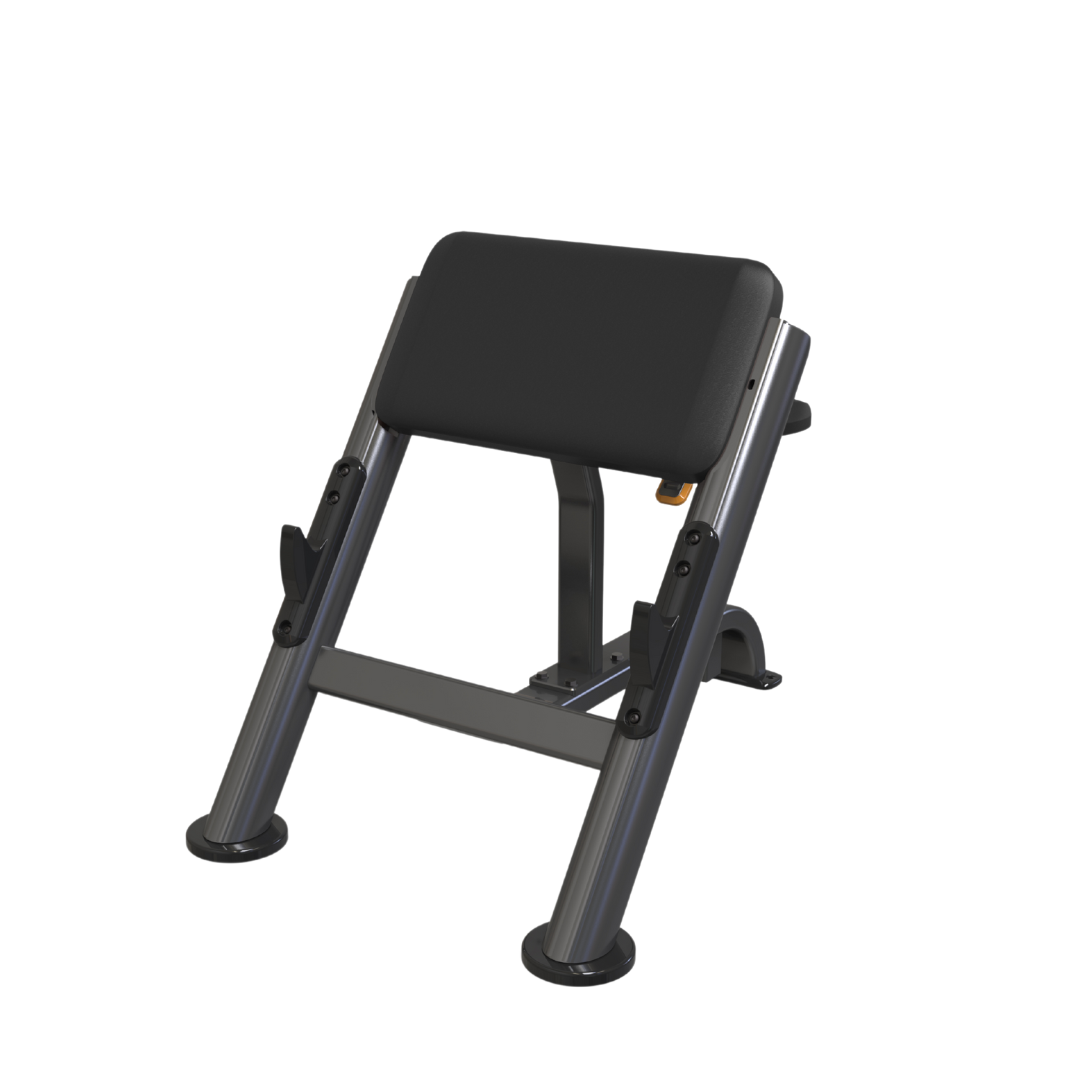VERVE Preacher Curl Scott Bench - Makoto Series | Pre-Order ETA Mid May