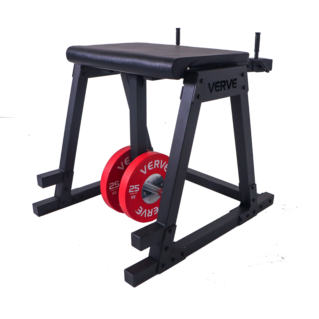 VERVE Reverse Hyperextension